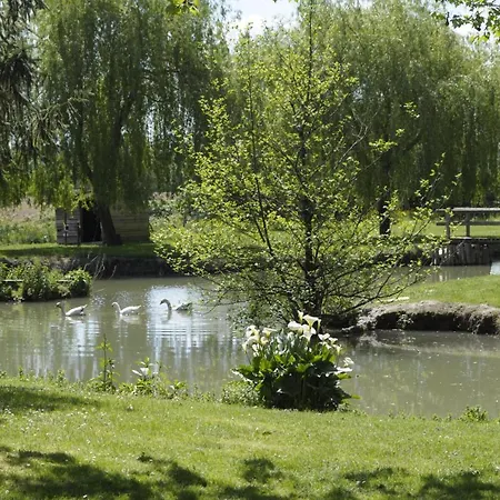 Domaine Ramonjavel, Glamping&alpaca's Bed & Breakfast Fongrave