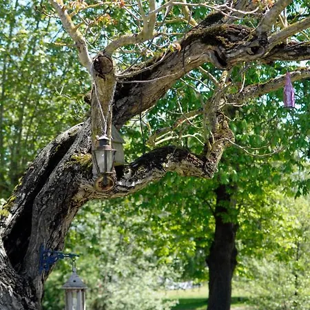 Domaine Ramonjavel, Glamping&alpaca's Bed & Breakfast Fongrave