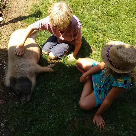 Domaine Ramonjavel, Glamping & Alpaca's Bed and breakfast 3*