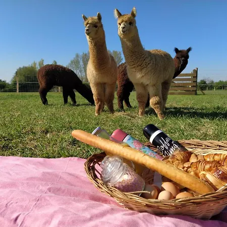 Domaine Ramonjavel, Glamping & Alpaca's 3* Fongrave