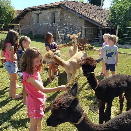 Bed and breakfast Domaine Ramonjavel, Glamping & Alpaca's Fongrave