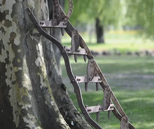 Bed and Breakfast Domaine Ramonjavel, Glamping & Alpaca's 3*