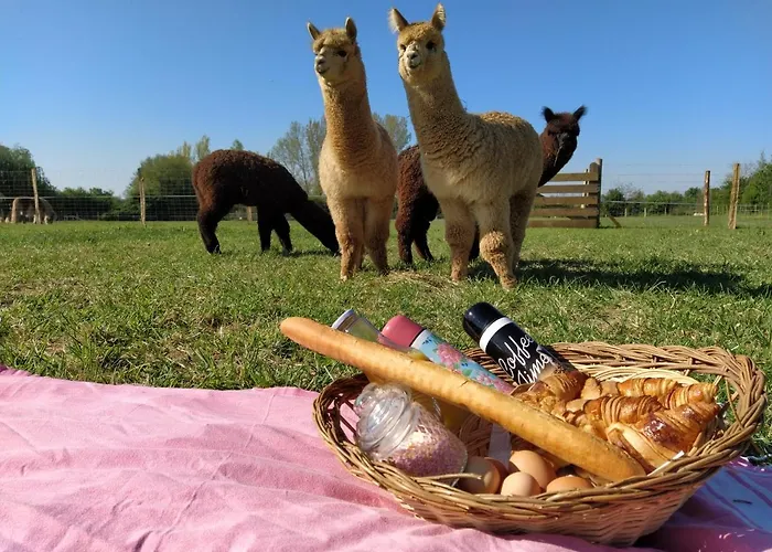 Domaine Ramonjavel, Glamping & Alpaca's 3* Fongrave
