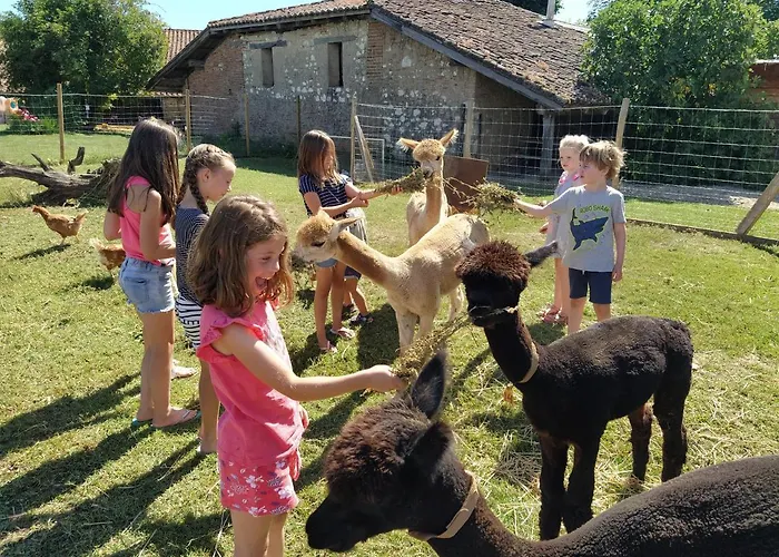 Bed and Breakfast Domaine Ramonjavel, Glamping & Alpaca's Fongrave